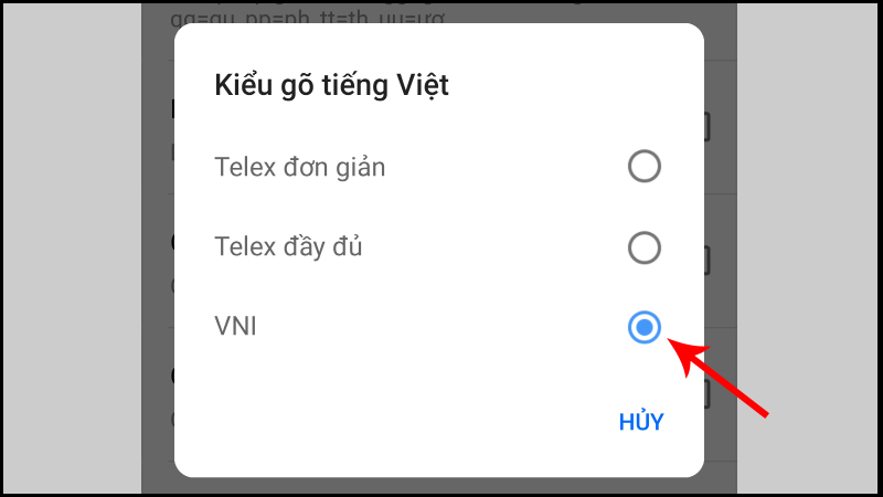 Tùy chọn kiểu VNI